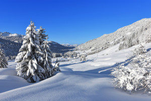 Wunschmotiv auf Leinwand - Tiefverschneite Winterlandschaft Im Allg...