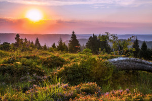 Wunschbild Leinwand - Panorama Bei Sonnenaufgang Im Schwarzwald ode...