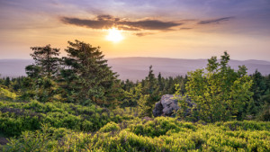 Wunschmotiv auf Leinwand - Natur Im Harz oder mit Eigenem Foto