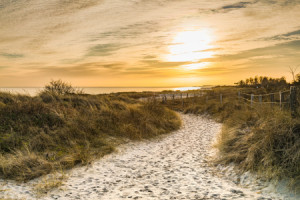 Bilder Leinwanddruck - Stranddünen In Der Abendsonne oder mit Eigen...
