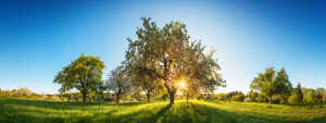 Foto Leinwanddruck - Idyllische Landschaft Mit Blauem Himmel oder m...