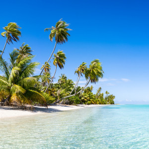 Wunschmotiv als Leinwand - Traumstrand Auf Französisch Polynesien o...