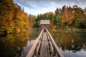 Wunschmotiv auf Leinwanddruck - Der Carler Teich Im Oberharz oder m...