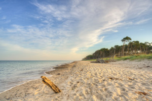 Motiv auf Leinwanddruck - Ein Morgen Am Darßer Weststrand oder mit ...