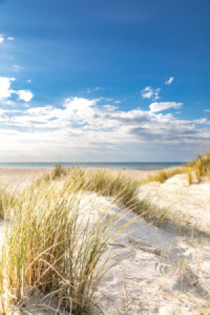 Foto auf Leinwanddruck - Sommerfrische An Der Nordsee _2_ oder mit ...
