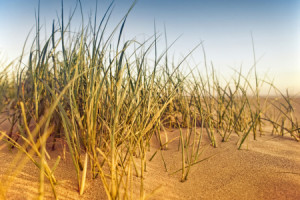 Wunschmotiv Mousepad - Nordsee Strand 4 oder mit Eigenem Foto
