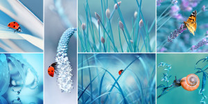 Motiv Mousepad - Frühling oder mit Eigenem Foto