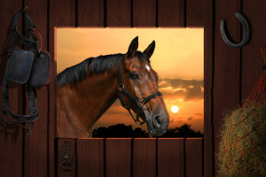 Wunschbild Mousepad - Pferd Vor Der Stalltür oder mit Eigenem Foto