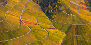 Motiv auf Mousepad - Weinberge Im Herbst oder mit Eigenem Foto