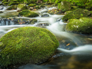 Wunschmotiv Mousepad - Moos Und Steine Im Wildwasser oder mit Eigen...