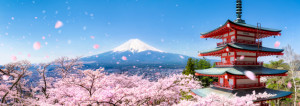 Fotos Mousepad - Berg Fuji Während Der Kirschblüte In Japan oder mi...