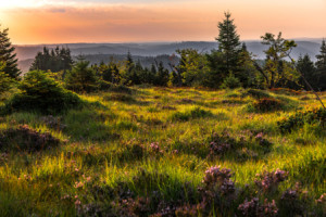 Fotos Mousepad - Tagesanbruch Im Schwarzwald oder mit Eigenem Foto