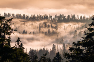 Wunschmotiv auf Mousepad - Mystische Stimmung Im Harz oder mit Eige...