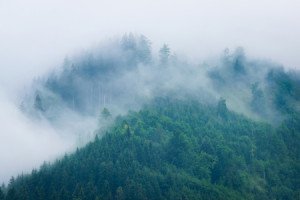 Motiv Mousepad - Nebelwald In Den Alpen oder mit Eigenem Foto
