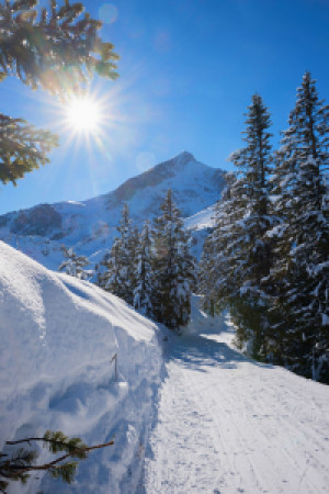 Wunschmotiv Mousepad - Winterweg Mit Alpspitzblick oder mit Eigenem...