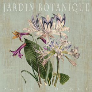 Bild Papier - Jardin Botanique I oder mit Eigenem Foto