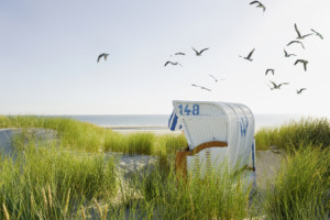 Wunschbild Papier - Strandkorb In Den Dünen oder mit Eigenem Foto