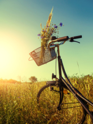 Motiv auf Papier - Retro Fahrrad In Landschaft oder mit Eigenem Foto