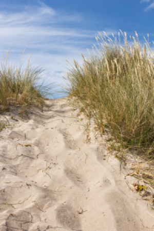 Foto Papier - Düne Am Strand In Dänemark 7 oder mit Eigenem Foto