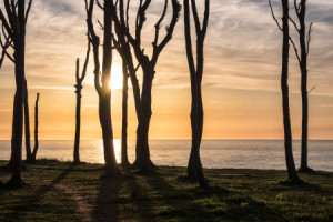 Wunschbild Papier - Sonnenuntergang oder mit Eigenem Foto