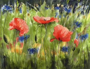 Wunschbild Papier - Drei Mohnblüten oder mit Eigenem Foto