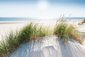 Motiv als Papier - Sommer Am Nordseestrand oder mit Eigenem Foto