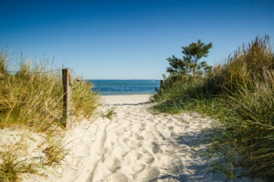 Foto Papier - Sommerfrische An Der Ostsee oder mit Eigenem Foto