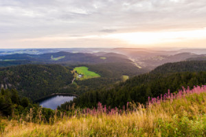 Wunschbild Papier - Sonnenaufgang Am Feldberg Im Schwarzwald oder m...