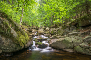 Motiv auf Papier - Wasserfall Im Harz oder mit Eigenem Foto