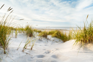 Motiv auf Papier - Urlaub Am Meer oder mit Eigenem Foto