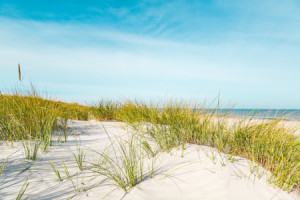 Motiv als Papier - Sommerfrische An Der Nordsee oder mit Eigenem Foto