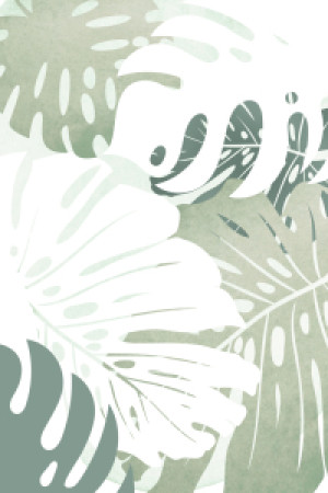 Motiv auf Papier - Monstera Blätter oder mit Eigenem Foto