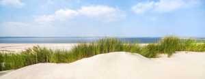 Motiv auf Papier - Dünenlandschaft Im Sommer oder mit Eigenem Foto
