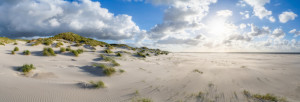Foto auf Papier - Dünenlandschaft Im Sonnenlicht oder mit Eigenem F...