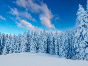 Wunschmotiv als Papier - Winter Im Montafon oder mit Eigenem Foto