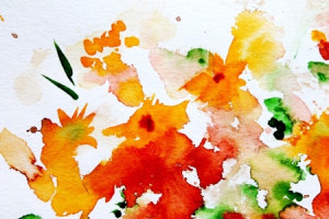 Fotos Papier - Sommer Flora oder mit Eigenem Foto
