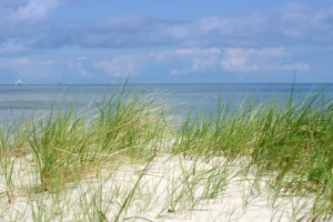 Motiv Papier - Dünen Der Ostsee oder mit Eigenem Foto