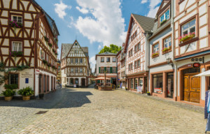 Wunschbild als Papier - Kirschgarten Mainz -2- oder mit Eigenem Foto