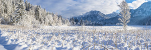 Bild auf Papier - Schneelandschaft Bei Füssen oder mit Eigenem Foto
