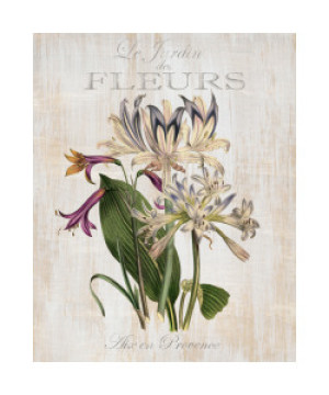 Bild auf Posterdruck - Le Jardin Des Fleurs I oder mit Eigenem Foto