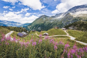 Motiv Poster - Bergwelt oder mit Eigenem Foto