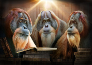 Wunschbild als Poster - Lange Nacht oder mit Eigenem Foto