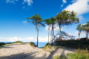 Foto Poster - Am Weststrand Auf Dem Darß oder mit Eigenem Foto