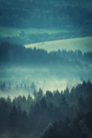 Wunschmotiv Posterdruck - Landschaft Im Morgennebel oder mit Eigene...