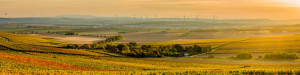 Wunschmotiv auf Posterdruck - Goldenes Rheinhessen -9_4- oder mit E...