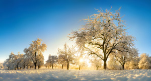 Foto Posterdruck - Verzauberte Landschaft Im Winter oder mit Eigene...