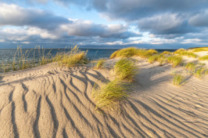 Motiv als Poster - Wanderdünen Am Strand oder mit Eigenem Foto