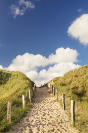 Motiv auf Poster - Weg Über Eine Düne Auf Sylt oder mit Eigenem Foto