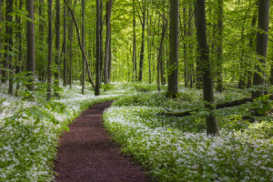 Motiv Posterdruck - Wege Zur Entspannung Xxi oder mit Eigenem Foto