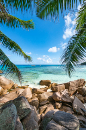 Bild auf Posterdruck - Urlaub Auf Den Seychellen oder mit Eigenem Foto